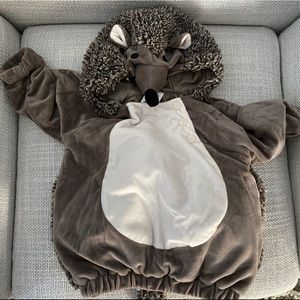 Baby Hedgehog Costume